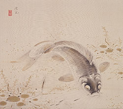 入江波光《遊鯉図》